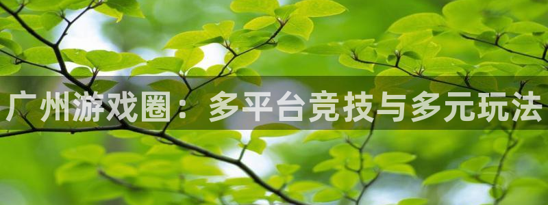杜邦娱乐4招商：广州游戏圈：多平台竞技与多元玩法