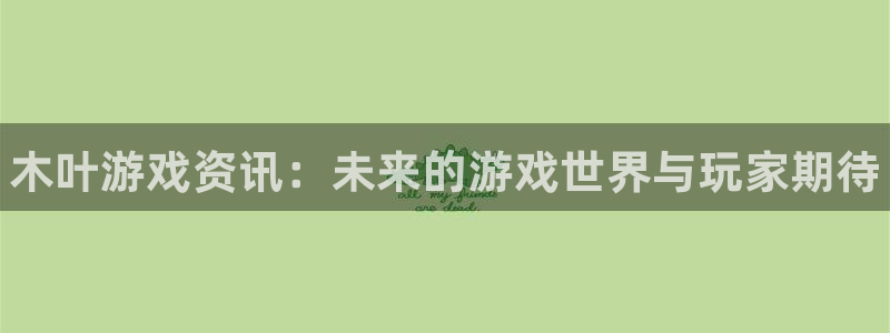 杜邦娱乐怎么注册：木叶游戏资讯：未来的游戏世界与玩家期待