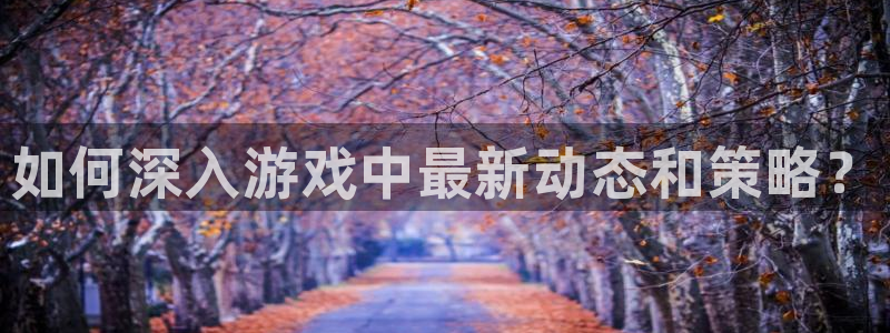 杜邦娱乐平台注册资金多少：如何深入游戏中最新动态和策略？