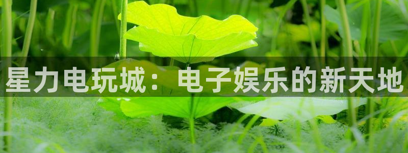 杜邦娱乐登陆测速：星力电玩城：电子娱乐的新天地