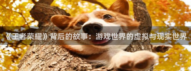 杜邦娱乐登录地址：《王者荣耀》背后的故事：游戏世界的虚拟与现