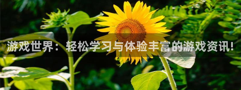 杜邦娱乐线路测试：游戏世界：轻松学习与体验丰富的游戏资讯!