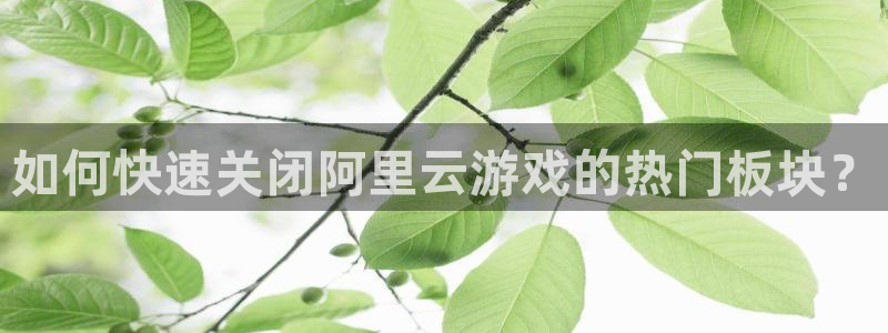 杜邦娱乐注册网站：如何快速关闭阿里云游戏的热门板块？