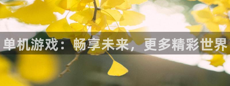 杜邦娱乐官方注册登录：单机游戏：畅享未来，更多精彩世界