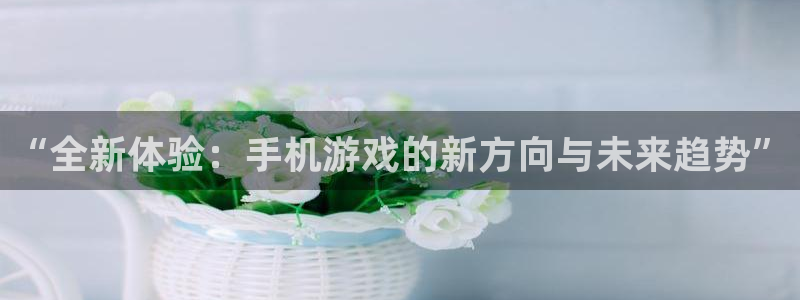 杜邦娱乐网址注册：“全新体验：手机游戏的新方向与未来趋势”