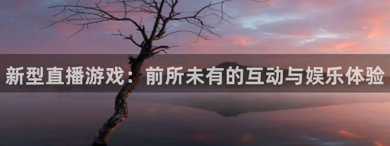 杜邦娱乐平台注册：新型直播游戏：前所未有的互动与娱乐体验