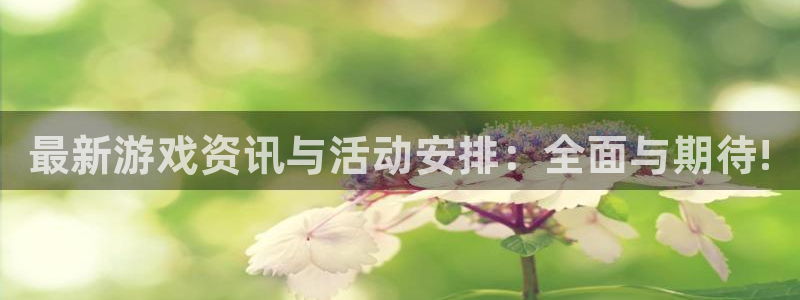 杜邦娱乐怎么注册：最新游戏资讯与活动安排：全面与期待!