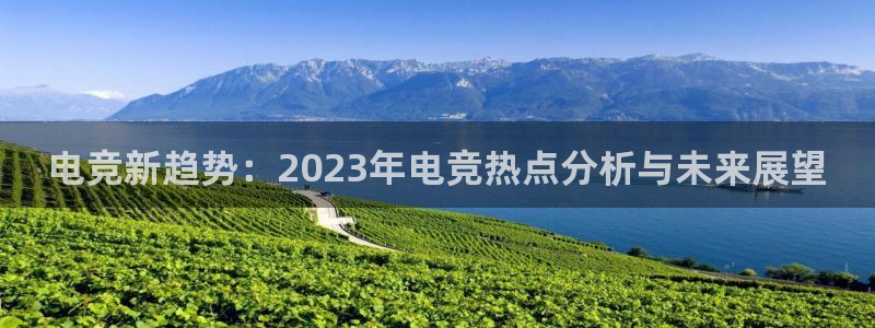 杜邦娱乐平台官方网站：电竞新趋势：2023年电竞热点分析与未