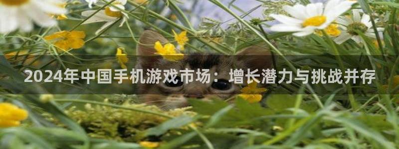 杜邦娱乐科技：2024年中国手机游戏市场：增长潜力与挑战并存