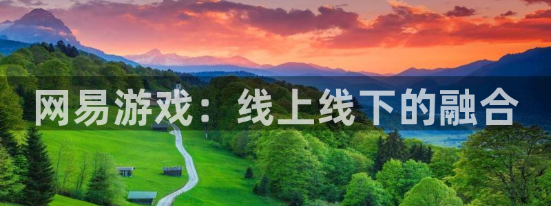 杜邦娱乐注册开户：网易游戏：线上线下的融合