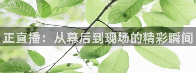 球神直播免费体育直播：正直播：从幕后到现场的精彩瞬间