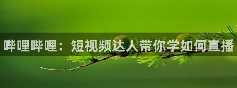 球神直播体育足球：哔哩哔哩：短视频达人带你学如何直播