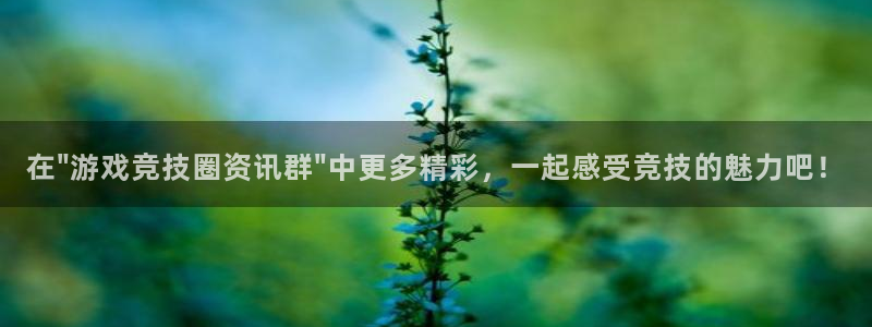 杜邦娱乐嘉675.138的更新方法与理念