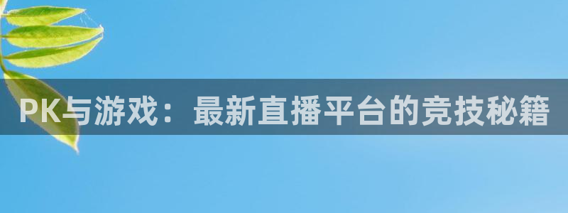 杜邦娱乐675官网入口