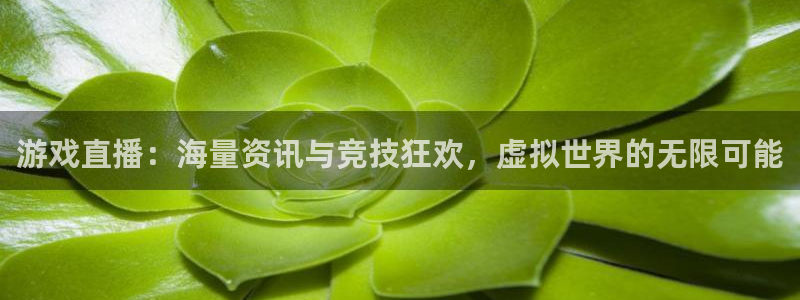 杜邦娱乐信誉怎么样