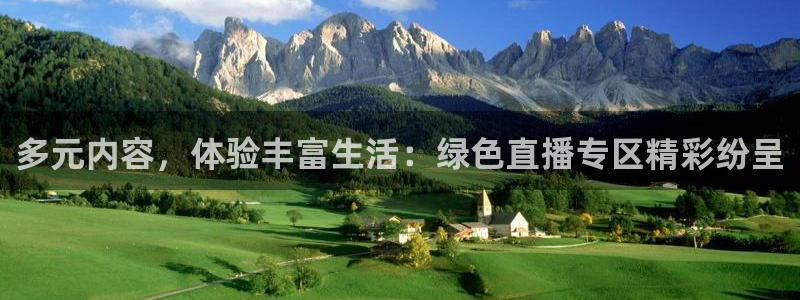 球神直播体育免费观看：多元内容，体验丰富生活：绿色直播专区精彩纷呈