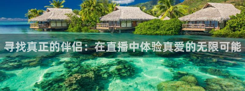 球神直播体育在线：寻找真正的伴侣：在直播中体验真爱的无限可能